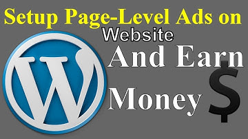 How to Setup/Add Adsense Page-Level(Auto) Ads on WordPress Blog or Website in Urdu/Hindi