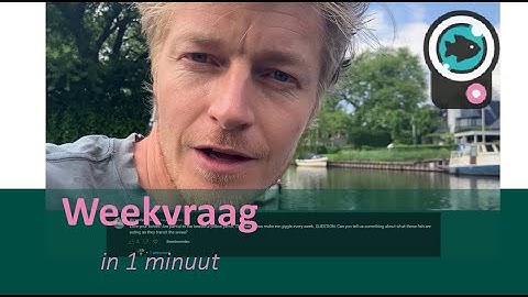 WeekVraag 6 - What is the rarest fish so far? And what do fish eat 