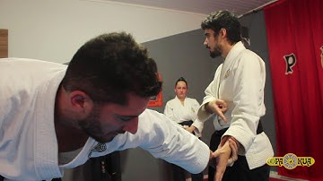 ARTE MARCIAL | Pa-Kua - Modalidades