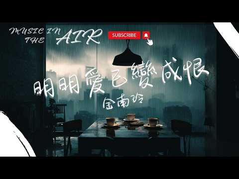 金南玲 - 明明愛已變成恨『也許是我不夠笨 才會看穿你漸冷眼神』【動態歌詞】
