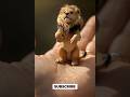 Bébé animaux #funny #aianimation #aiart #animisme #cuteanimals #babyanimals #animalart #shorts #love