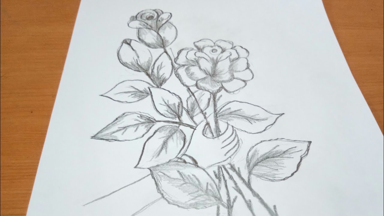 Sketsa Bunga Mawar Dengan Pencil Youtube