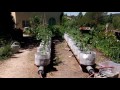 Larry hall grow bag system