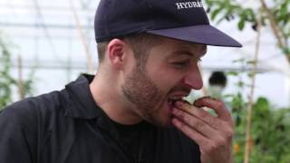 Raw Peanuts