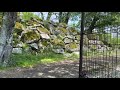 滋賀県高島市大溝城跡 OMIZO castle ruins,takashima,shiga.by my iPhone11.