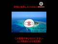 ○○した人のおこずかい #shorts #ポーランドボール #countryballs