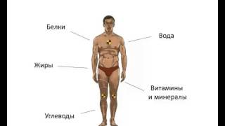 0 Что такое правильное питание (в чем секрет) 0 Что такое правильное питание (в чем секрет)