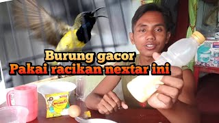 Cara buat racik makanan burung sogon burung gemuk sehat dan gacor