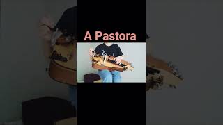A Pastora / Zanfona ( Hurdy Gurdy)