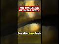 operation sharp teeth