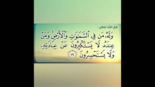 #آية_ومعنى (29) : { .. ولا يستحسرون .. }