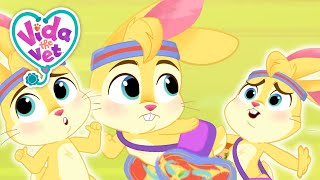 Frazzled ZigZags Top 5 Calm Down Moments | Vida Mash Ups | Kids Cartoons Mental Health #mentalhealth