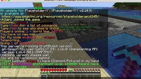 Item2Chat v5 on 1.16.4 server