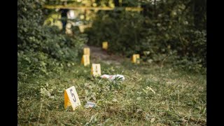 SUMMER WELLS CASE: I AM (VERY) INTERESTED IN THE DOG TRAIL NOW