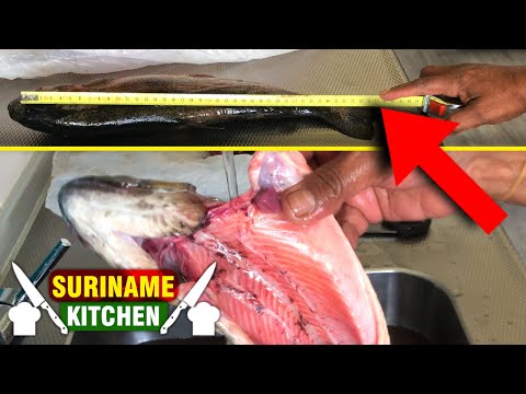 HELE GROTE Zalm Gevangen En Schoonmaak | WHOLE LARGE Salmon Caught And Cleaning | Suriname Kitchen