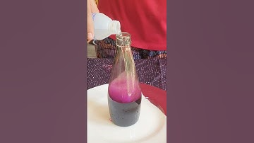 Elephant toothpaste experiment