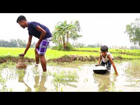 Unique Polo Fishing Video In Rainy Season Flood Water|Tradititional Polo Fishing Video #polofishing