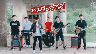 หมาบ่มีสิทธิ์ - นุ๊ก ธนดล「Cover Version」 chords