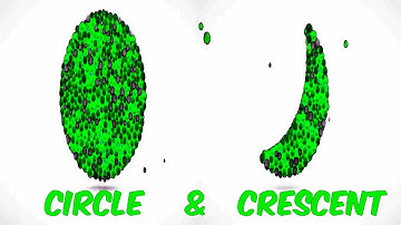 LEARN SHAPES WITH COLOR BALLS (CIRCLE & CRESCENT) Sponsored BY; Preview 2 Random Effects Combined