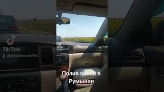 Полив Полей В Румынии