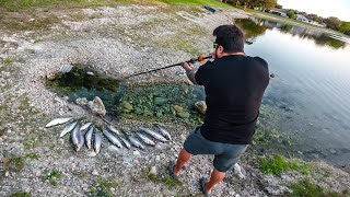 Thumbnail for Eu vi só a CABEÇA do PEIXE e Disparei com Zarabatana