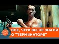 Сценарий "Терминатора" продали за один доллар? Невероятные факты о легендарном фильме — ICTV