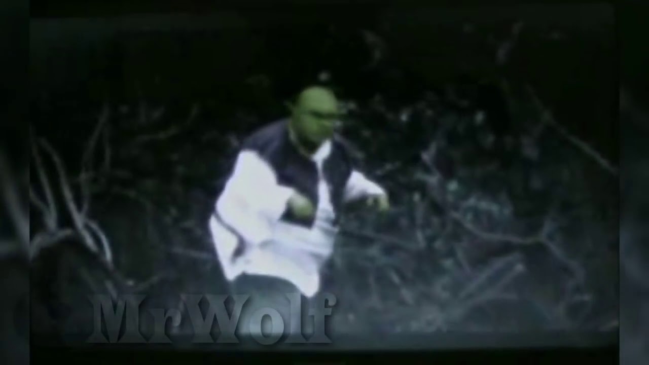 Shrek caught on camera - YouTube