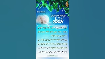 ماذا أقول في سجدة التلاوة