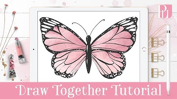 How to draw a butterfly step by step in Procreate Tutorial