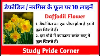 10 Lines on Daffodil Flower | डैफोडिल के फूल पर 10 हिन्दी लाइनें | नरगिस के फूल पर 10 लाइनें