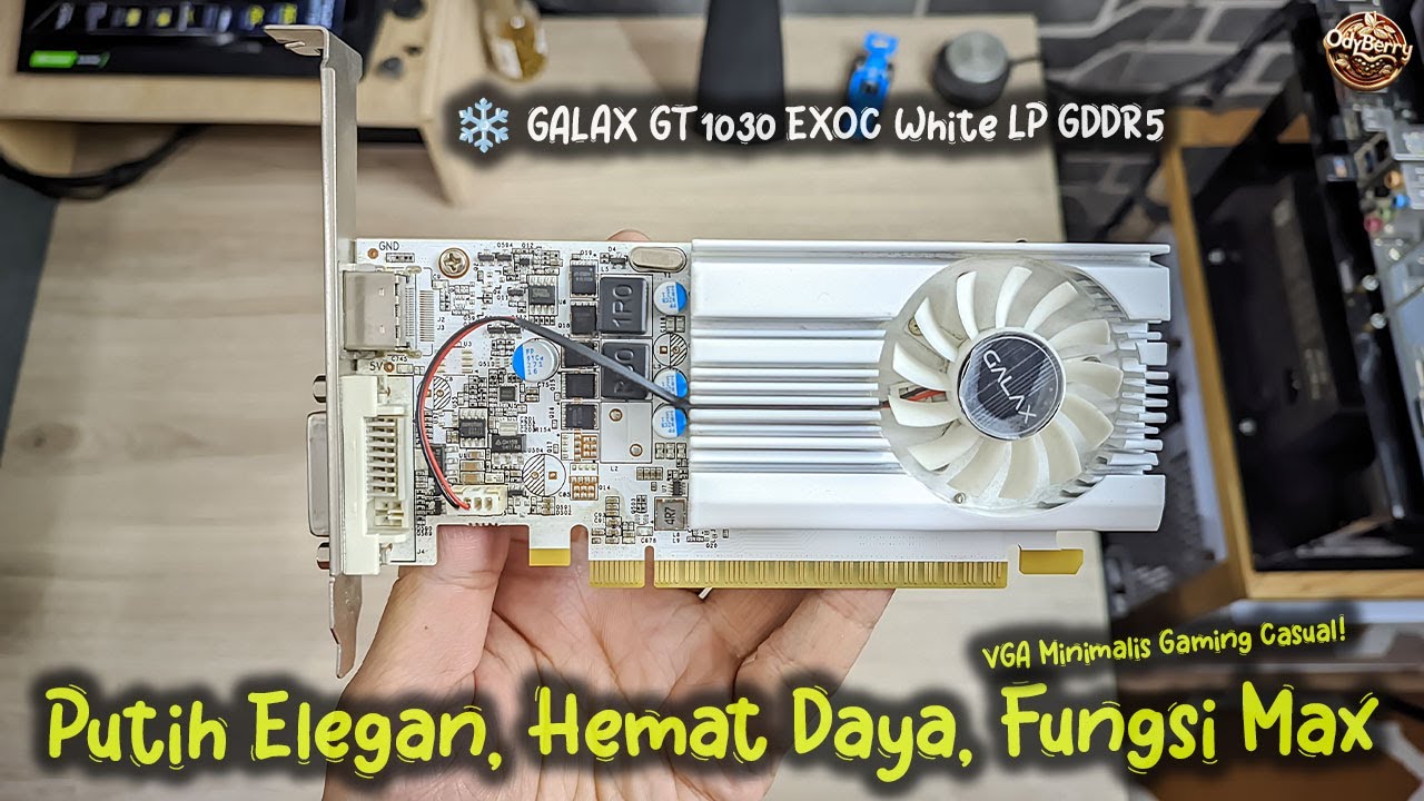 ❄️ GALAX GT 1030 EXOC White — Low Profile VGA that Makes Your PC 