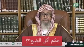 حكم اكل الضبع / فضيلة الشيخ د. صالح بن فوزان الفوزان