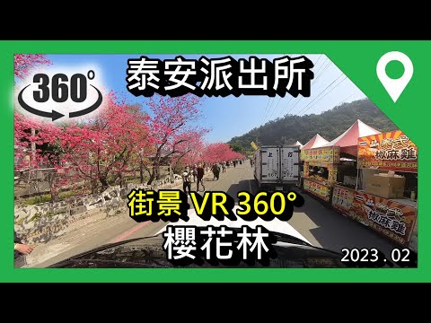 [VR街景] 泰安派出所櫻花林 2023，泰安櫻花，泰安舊火車站，櫻花盛開 后里 大爆開