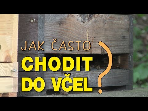 Video: Jak často Chodit Do Kostela