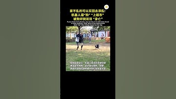 机器人遛机器狗 😅 #shorts #viral #robot #抖音 #分享 #生活 #工具 #机器 #科技 #吐槽 #奇葩