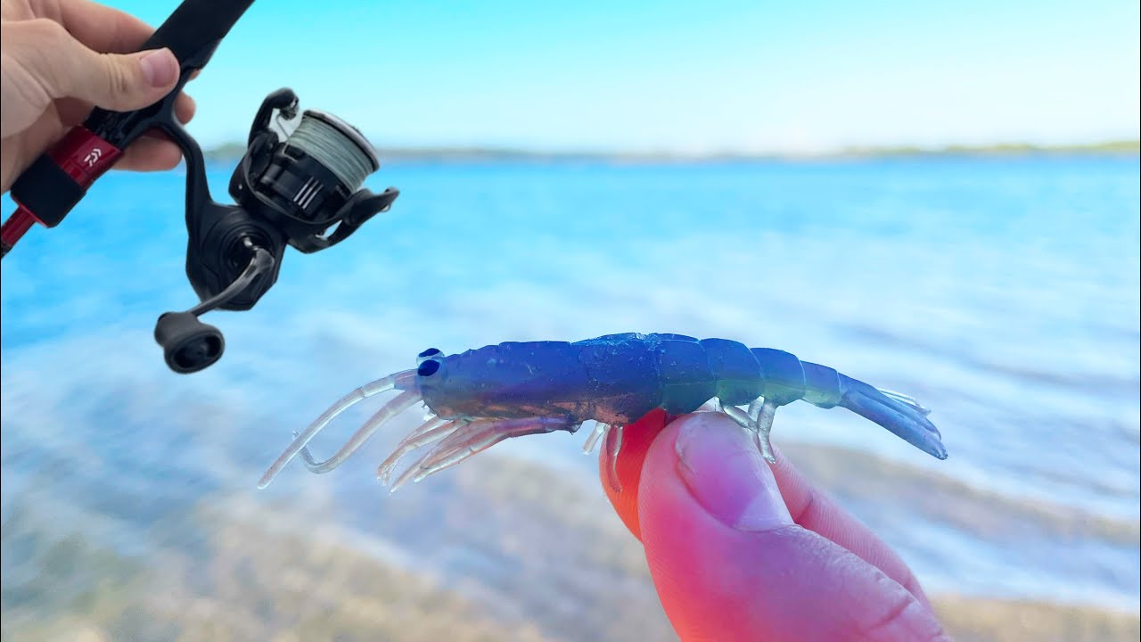 Was This Little Lure the Secret?