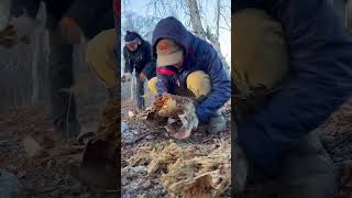 The sons collected birch bark to heat the stove🔥 / Сыновья собрали бересту для розжига🔥 Yakutia