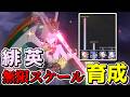 【崩スタ】マネーウォーズで既に遊べる「無限に強くなる緋英」試してみた!!【ゆっくり実況プレイ/崩壊スターレイル】
