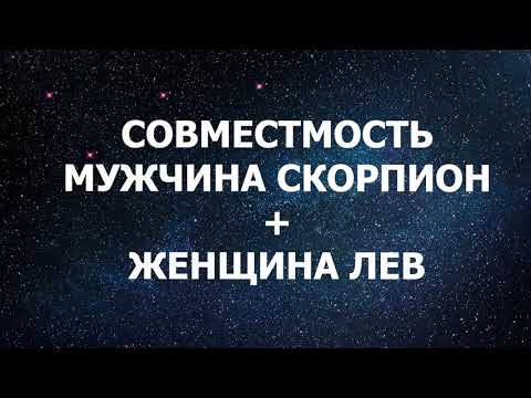 Совместимость мужчины Скорпиона и женщины Льва
