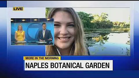ABC7 GUEST SEGMENT NAPLES BOTANICAL GARDEN