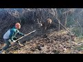 【狩猟】三段角の雄鹿を止め刺し 猪や鹿を獲っていきますdeer hunting