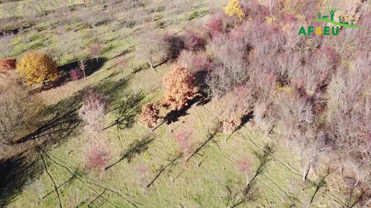 VIDEO 1 Agrolesnictvo