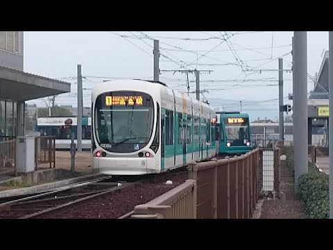 広島電鉄5100形5106号『Greenmovermax』&5000形5012号『MAZDA DEMIOラッピング』広島港にて