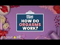 How do orgasms work