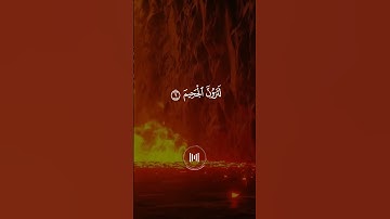 سورة التكاثر - ماهر المعيقلي