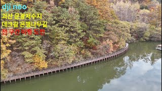 dji neo 괴산 문광저수지 데크길 은행나무길 전구간 비행도전