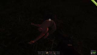 rust twerk bug