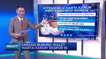 Sarang Burung Walet 
