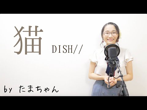 猫 / DISH// (たまちゃん,Tamachan)【歌詞付(概要欄) / フル(full cover) / 女子大生が歌ってみた 】