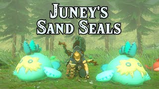 Juneys Stuffed Sand Seal Toys Encounter